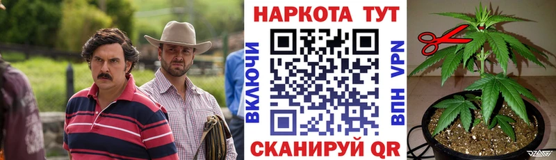 Наркотические вещества Мураши АМФ  блэк спрут вход  Псилоцибиновые грибы  БУТИРАТ  МЕФ  Cocaine  Alpha PVP  Гашиш  Бошки Шишки 