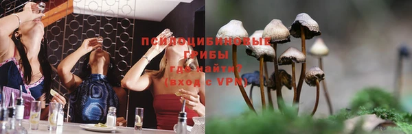 сатива Михайловка
