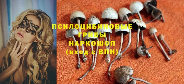 стафф Михайловск