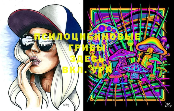 герыч Медногорск
