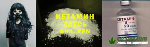 стафф Михайловск