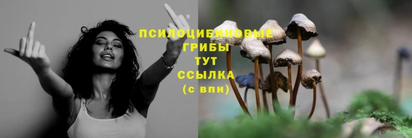 герыч Медногорск