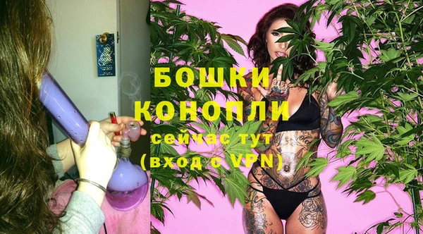 стафф Михайловск