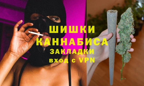 стафф Михайловск