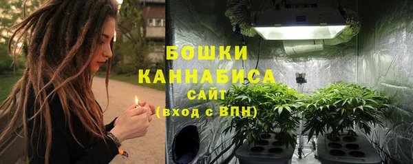 PSILOCYBIN Медвежьегорск