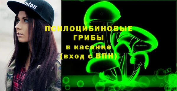 стафф Михайловск