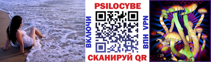 Галлюциногенные грибы Psilocybe  Мураши 