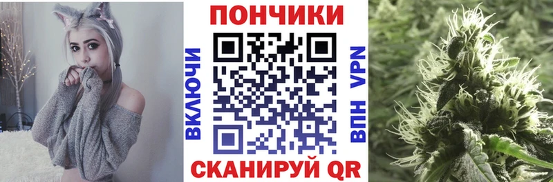 kraken как зайти  Мураши  МАРИХУАНА план 